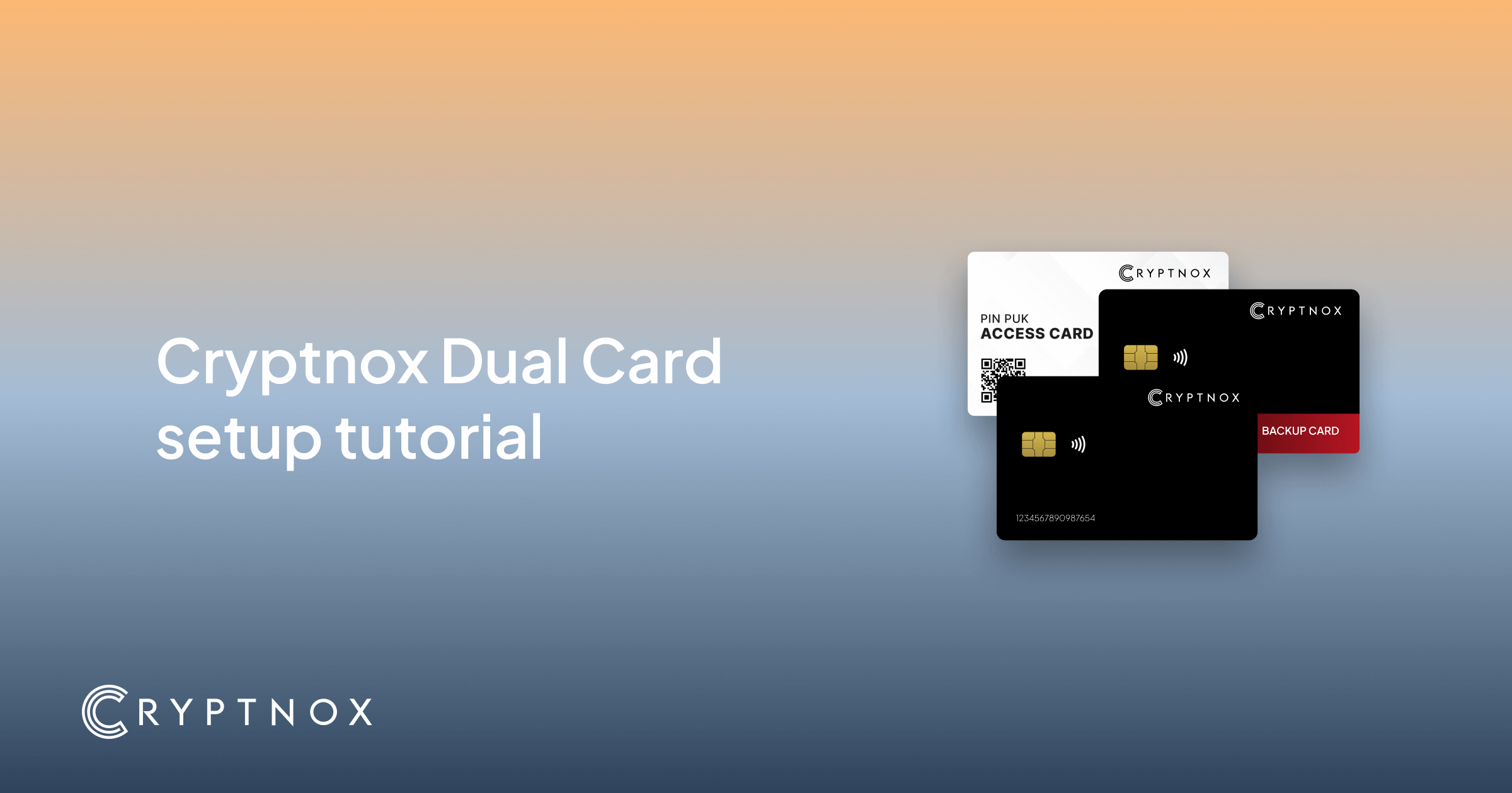 Cryptnox Dual Card Setup Made Easy: Comprehensive Tutorials