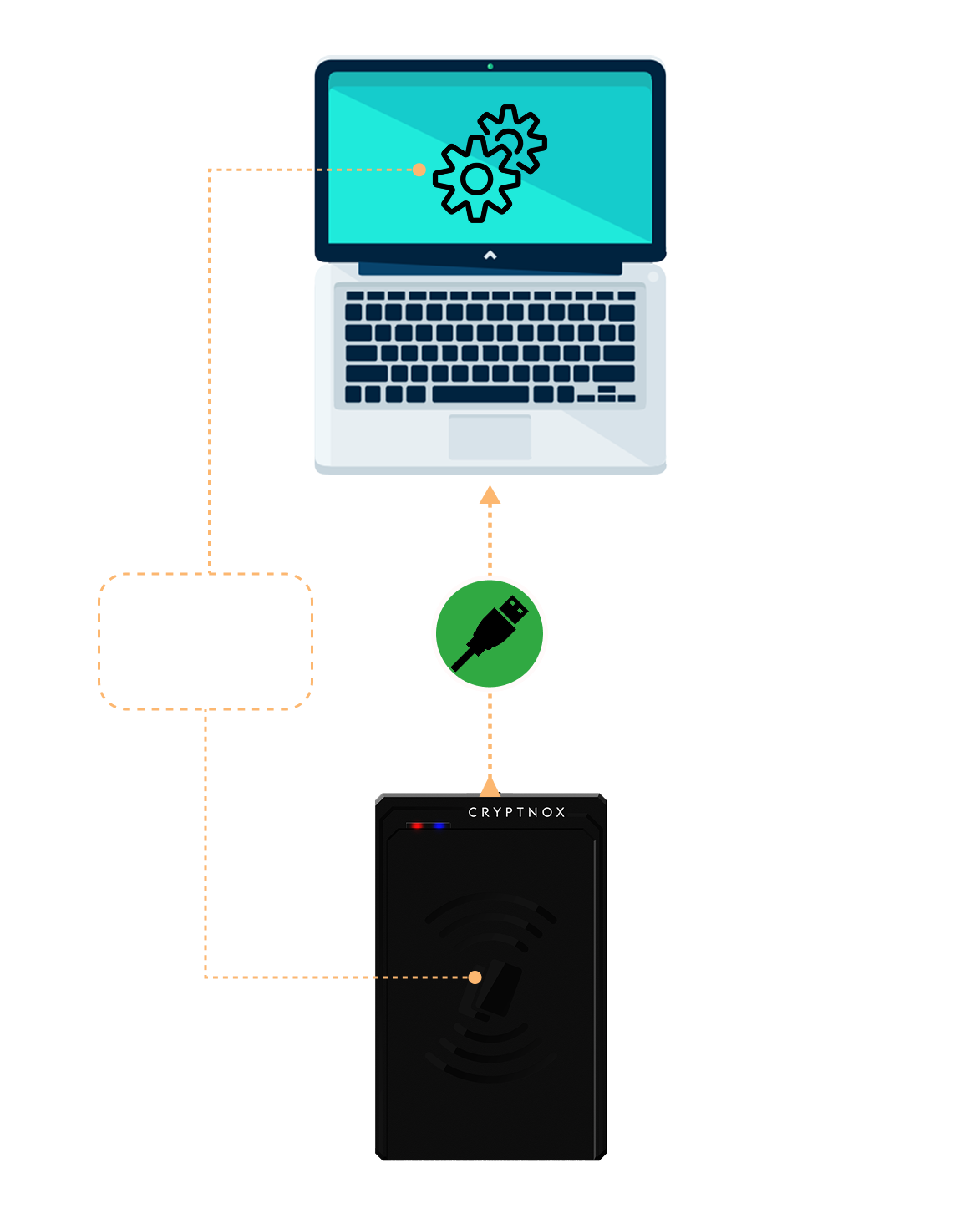 Your operating system will automatically detect and configure the devic