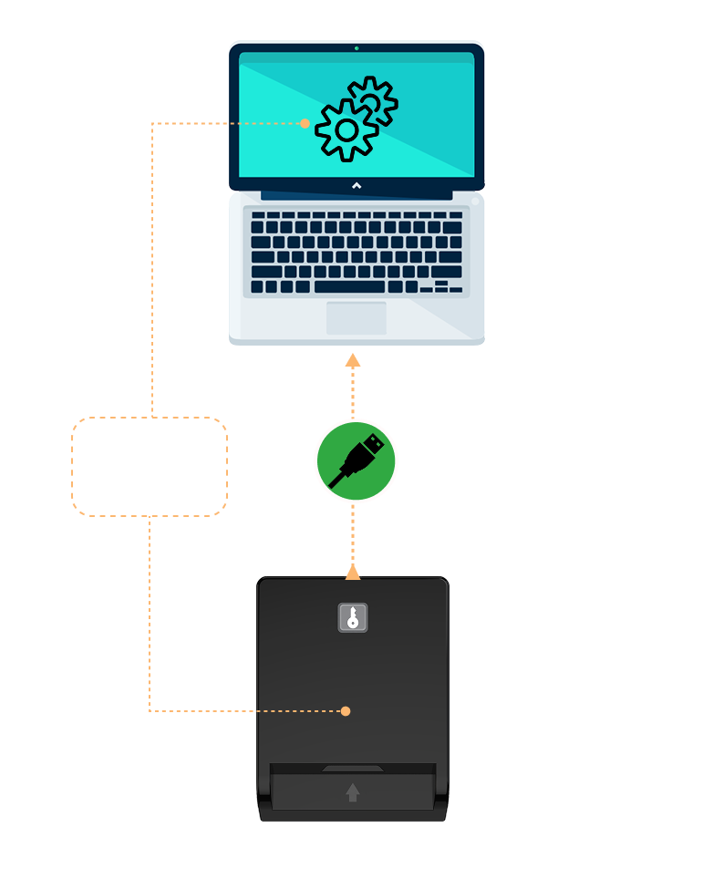 Your operating system will automatically detect and configure the device