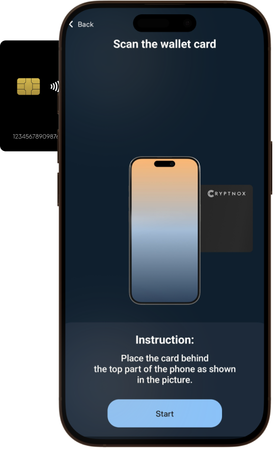 After inputting mnemonic phrase manually or generated phrase