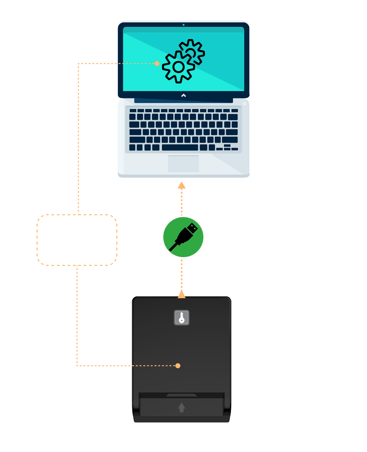 Your operating system will automatically detect