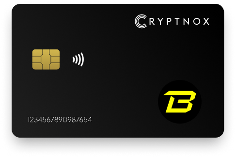 Best Hardware Wallet for Blast (BLAST)