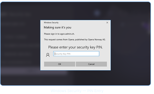 Windows Security — PIN Entry